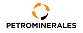 ss-consultores-talento-petrominerales